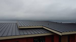 Best Emergency Roof Repair Services  in USA